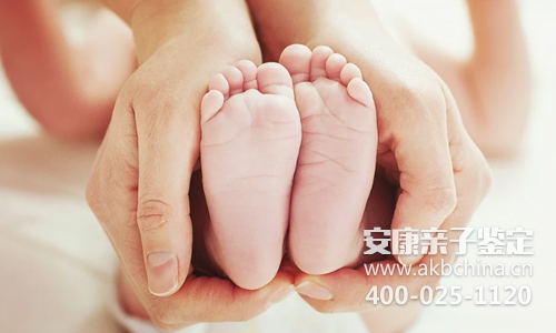 上海上海做亲子鉴定需要几个人的样本？父母子的吗？ 