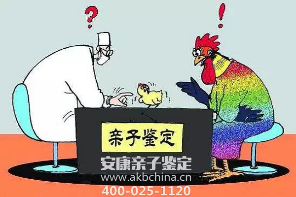 上海安徽滁州哪里做可以做亲子鉴定大概多少钱,安徽滁州做dna亲子鉴定必看 