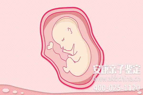 上海怀孕期间做亲子鉴定吗,怀孕如何做亲子鉴定吗 